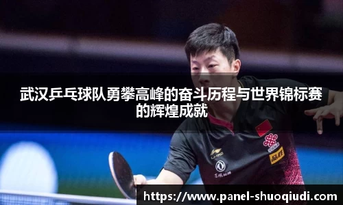 说球帝体育直播